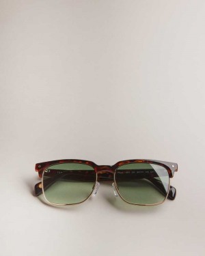 Dark Brown Ted Baker Ffloyd Tortoiseshell Clubmaster Sunglasses | US0001982