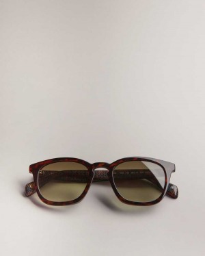 Dark Brown Ted Baker Ottiis Classic Framed Sunglasses | US0001974