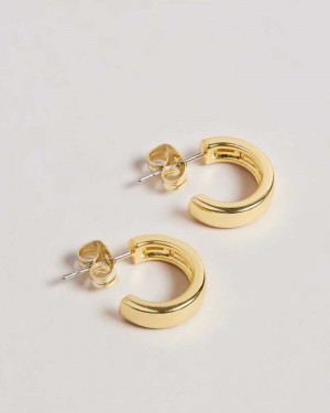 Gold Colour Ted Baker Helanna Small Hoop Earrings Earrings | US0001825