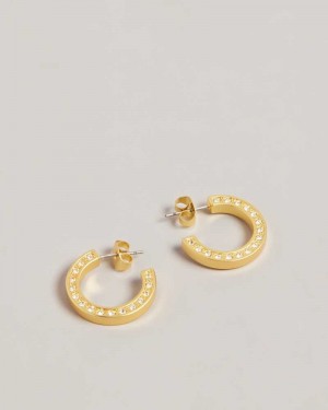 Gold Colour Ted Baker Senatta Crystal Hoop Earrings Earrings | US0001815