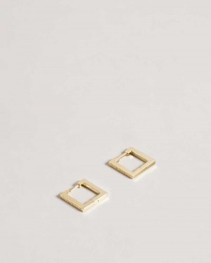 Gold Colour Ted Baker Senrii Small Square Hinge Earrings Earrings | US0001820