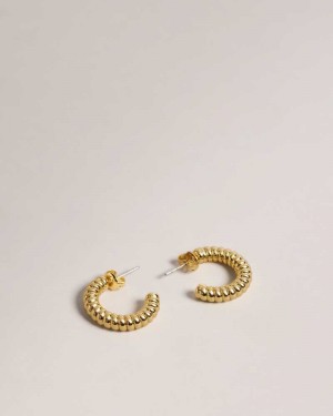 Gold Colour Ted Baker Tottie Twisted Hoop Earrings Earrings | US0001840