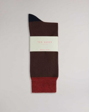 Orange Ted Baker Tedtext Semi Plain Socks | US0001910