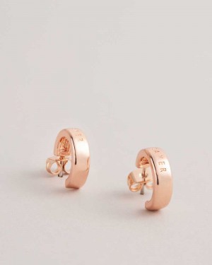 Rose Gold Colour Ted Baker Helanna Small Hoop Earrings Earrings | US0001818