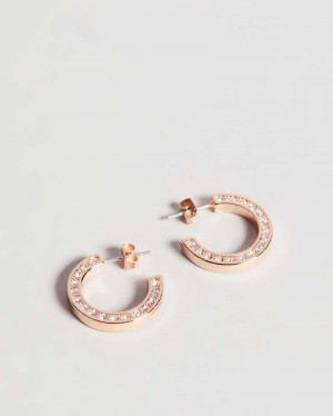 Rose Gold Colour Ted Baker Senatta Crystal Hoop Earrings Earrings | US0001783