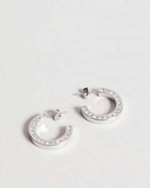 Silver Colour Ted Baker Senatta Crystal Hoop Earrings Earrings | US0001778