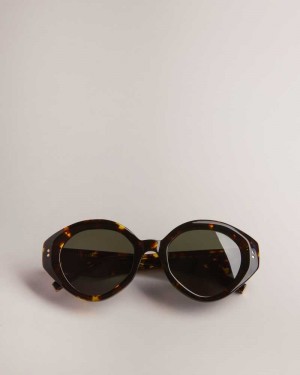 Tortoiseshell Ted Baker Zaadiey Chunky Circle Frame Sunglasses | US0001997