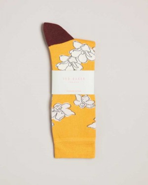 Yellow Ted Baker Britesk Bright Floral Socks | US0001939