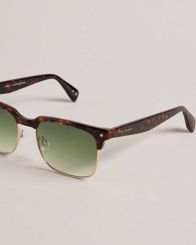 Dark Brown Ted Baker Ffloyd Tortoiseshell Clubmaster Sunglasses | US0001982