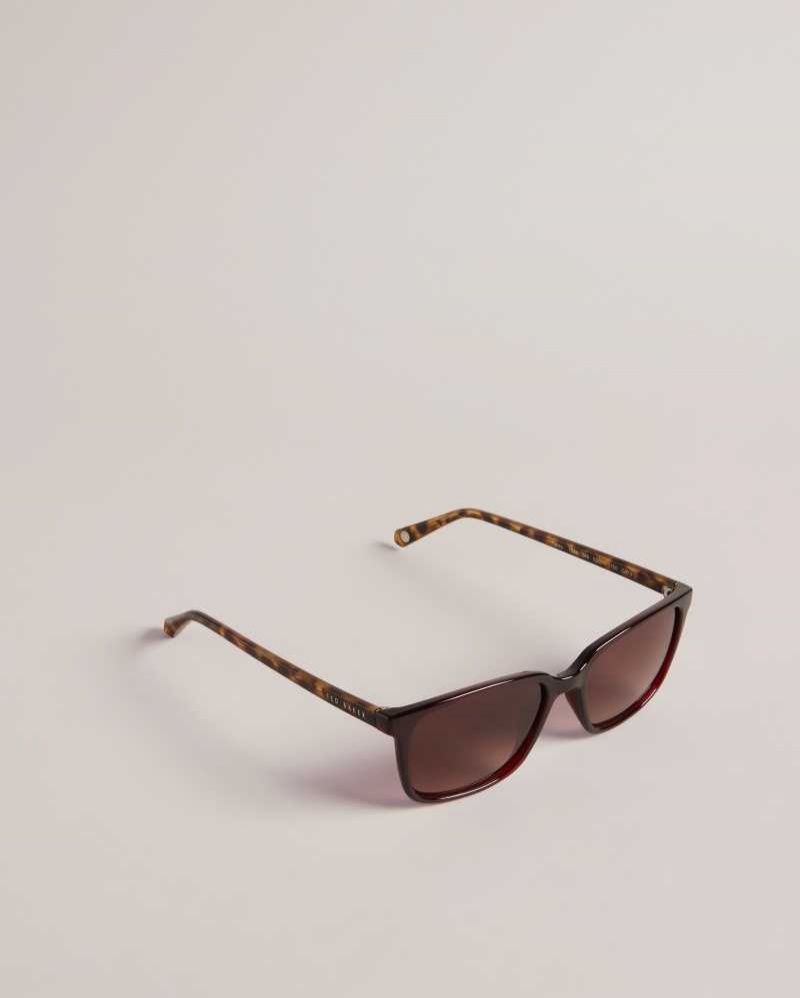 Dark Red Ted Baker Farlei Classic Tortoiseshell Frame Sunglasses | US0001999