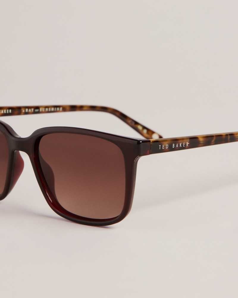 Dark Red Ted Baker Farlei Classic Tortoiseshell Frame Sunglasses | US0001999