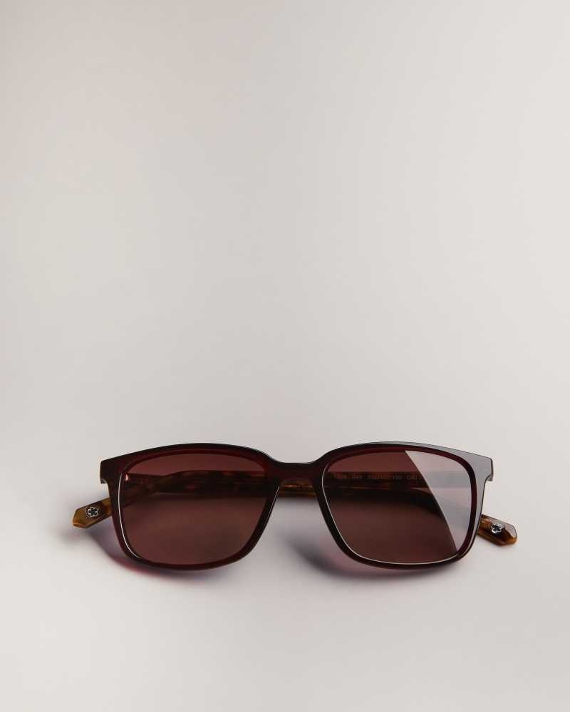 Dark Red Ted Baker Farlei Classic Tortoiseshell Frame Sunglasses | US0001999