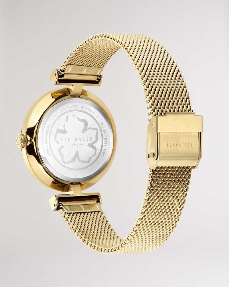 Gold Colour Ted Baker Darbs T Frame Mesh Strap Watch | US0002056