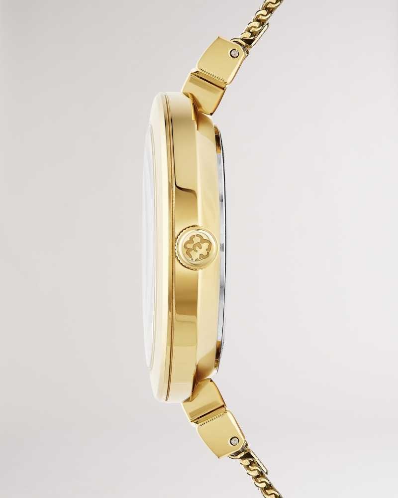 Gold Colour Ted Baker Darbs T Frame Mesh Strap Watch | US0002056