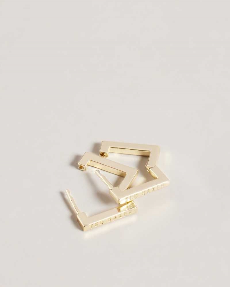 Gold Colour Ted Baker Senrii Small Square Hinge Earrings Earrings | US0001820