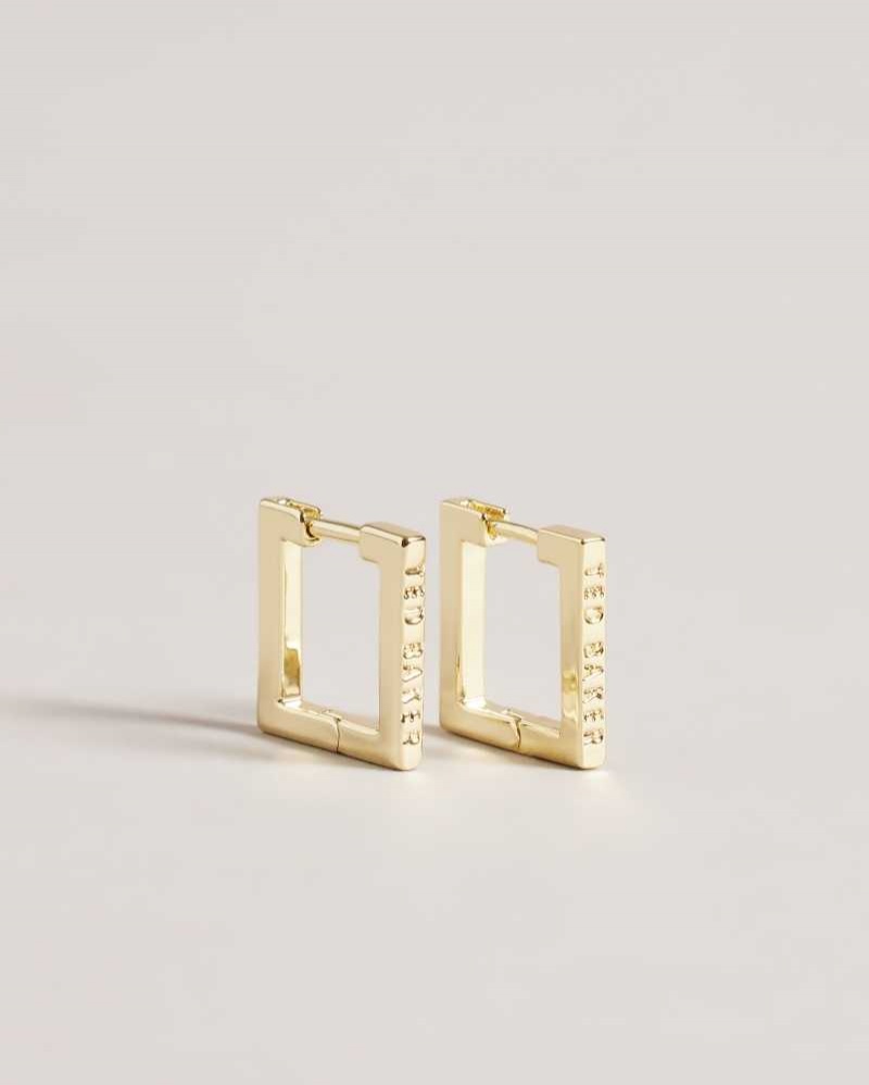 Gold Colour Ted Baker Senrii Small Square Hinge Earrings Earrings | US0001820