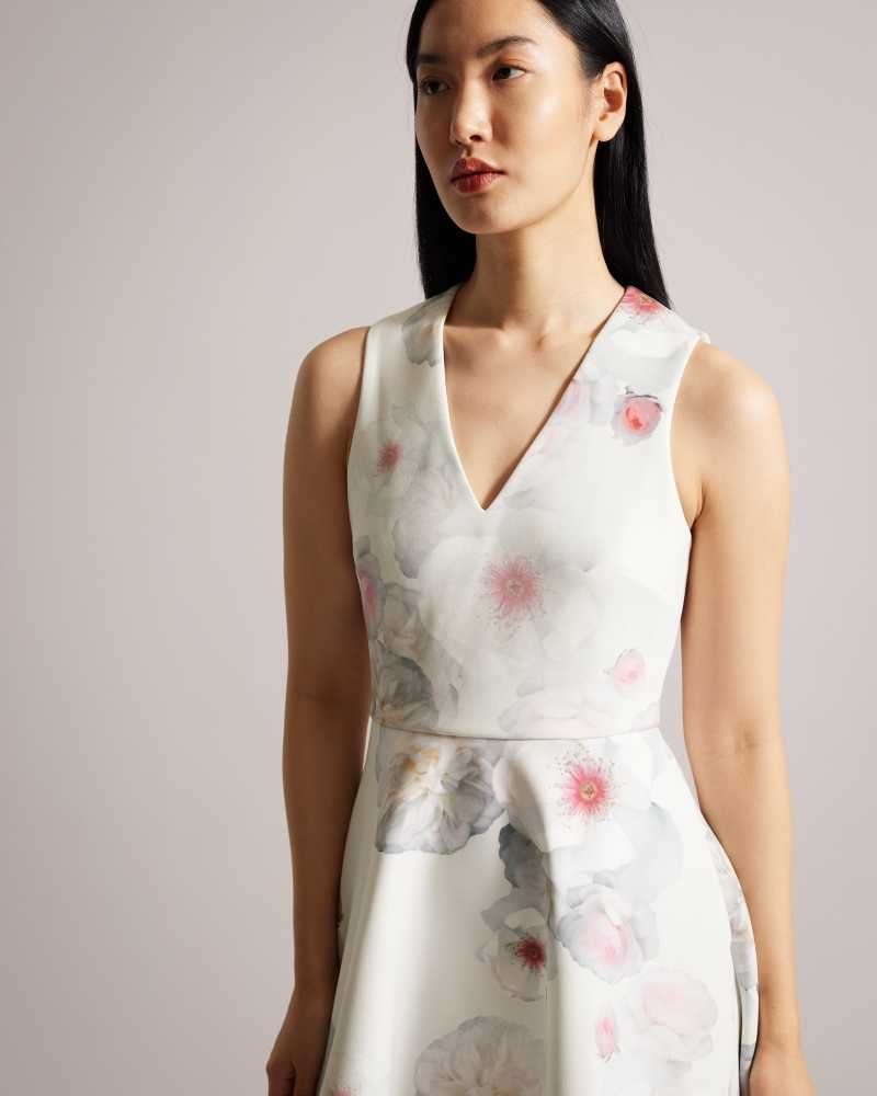 Natural Ted Baker Emleey V-Neck Printed Skater Dresses | US0000027