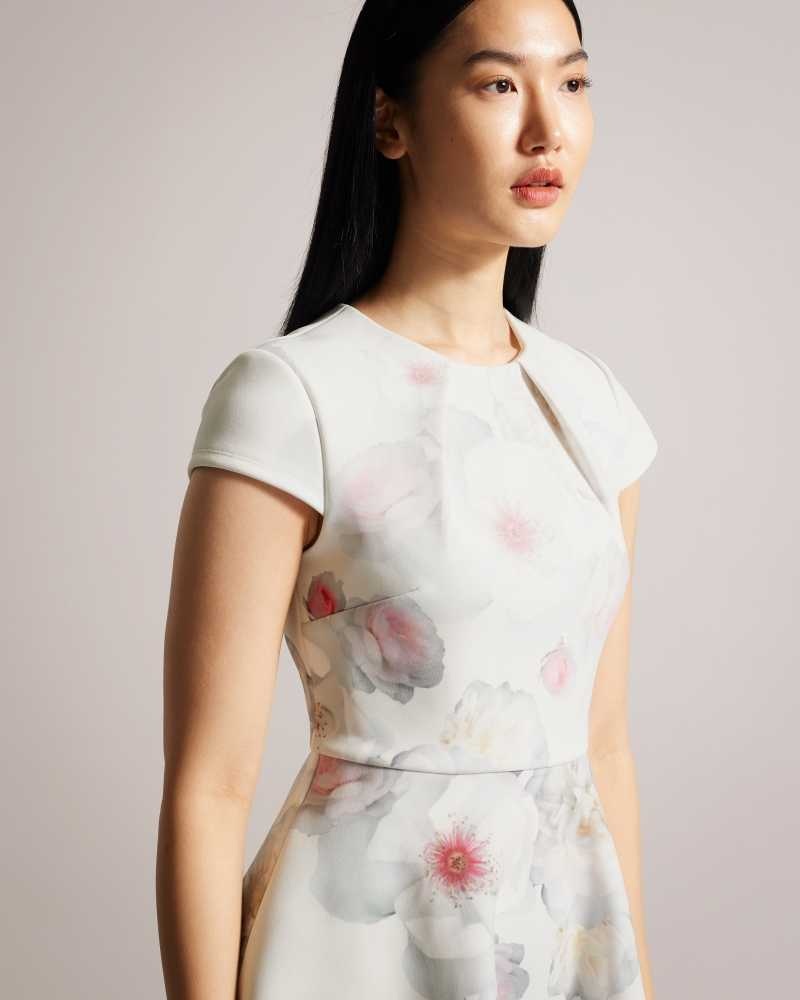 Natural Ted Baker Trinia Floral Print Skater Dresses | US0000056