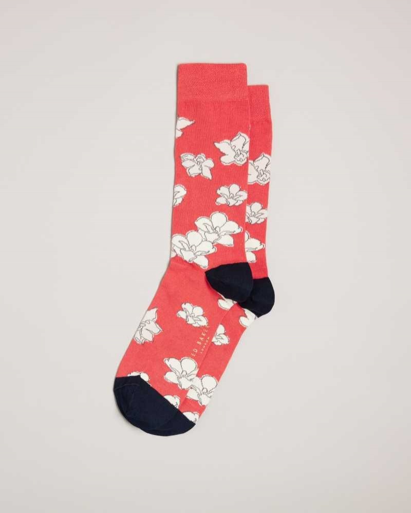 Orange Ted Baker Britesk Bright Floral Socks | US0001912