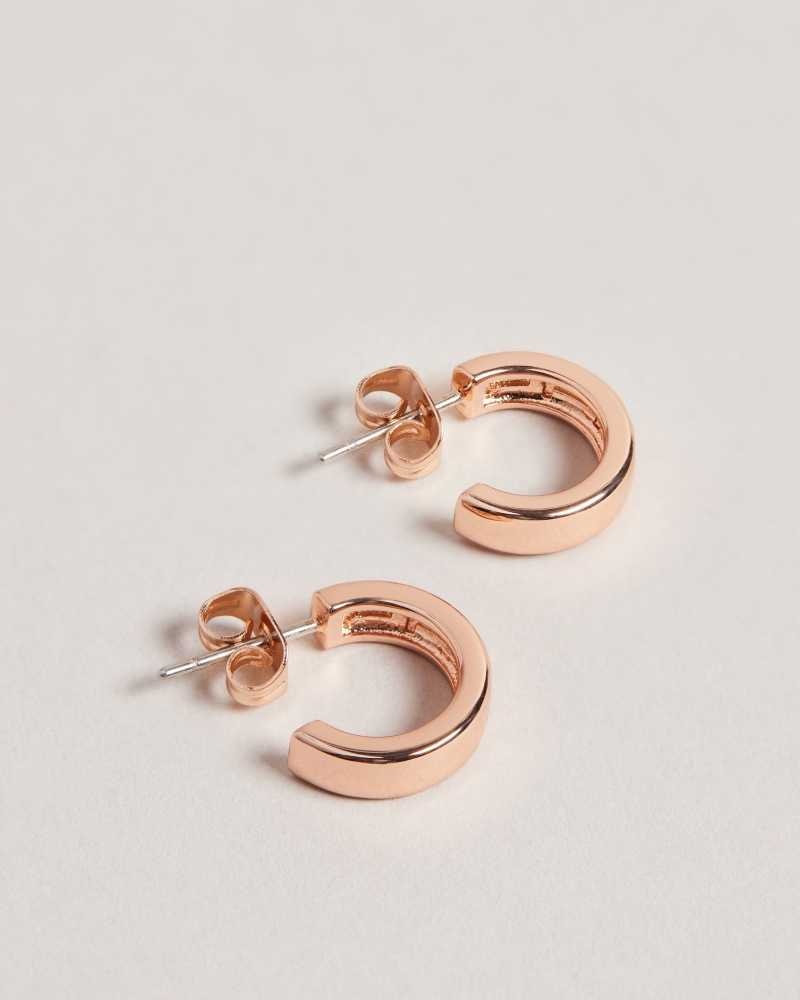 Rose Gold Colour Ted Baker Helanna Small Hoop Earrings Earrings | US0001818