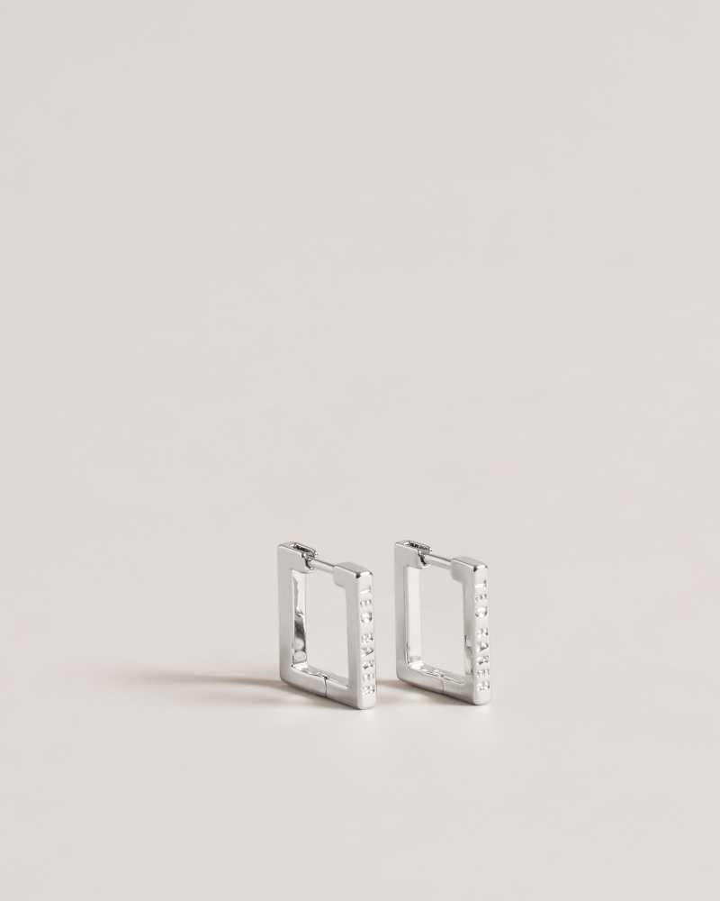 Silver Colour Ted Baker Senrii Small Square Hinge Earrings Earrings | US0001774