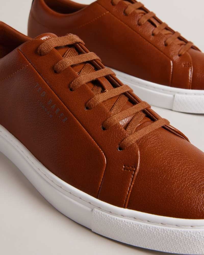 Tan Ted Baker Artem Webbing Detail Cupsole Sneakers | US0002200